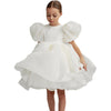 Toddler Girls Elegant Princess Dress KENNRICK