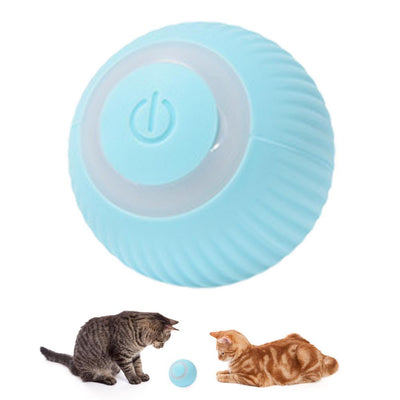 Cat Dog Smart Automatic Rolling Ball Electric Toys KENNRICK